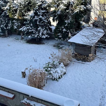 Ferienwohnung Dieblich An Der Mosel Екстериор снимка