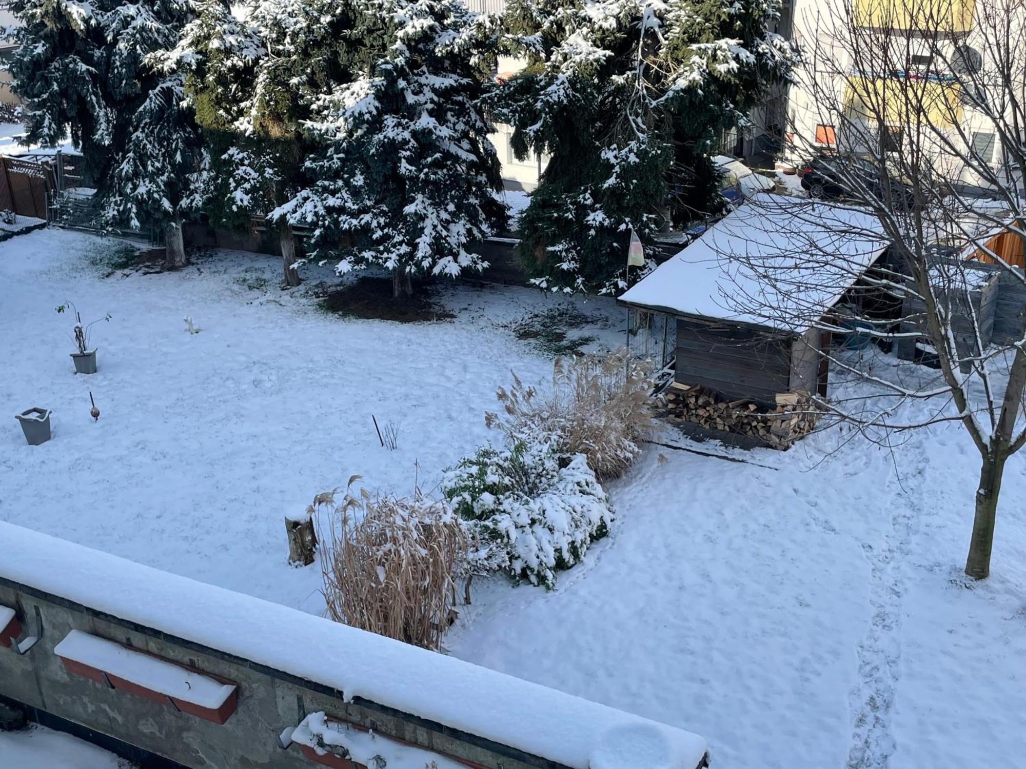 Ferienwohnung Dieblich An Der Mosel Екстериор снимка