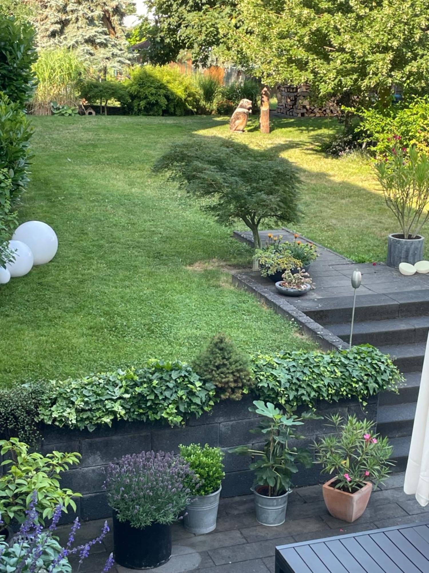 Ferienwohnung Dieblich An Der Mosel Екстериор снимка